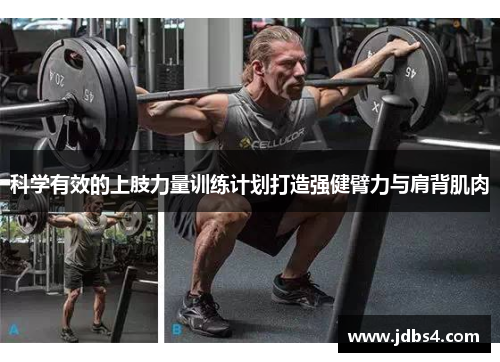 科学有效的上肢力量训练计划打造强健臂力与肩背肌肉